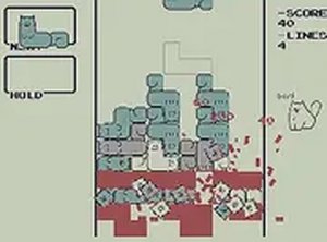 Ketris Cat Puzzle Online Game